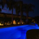 Landscape Lights