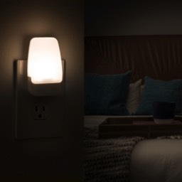 Night Lights